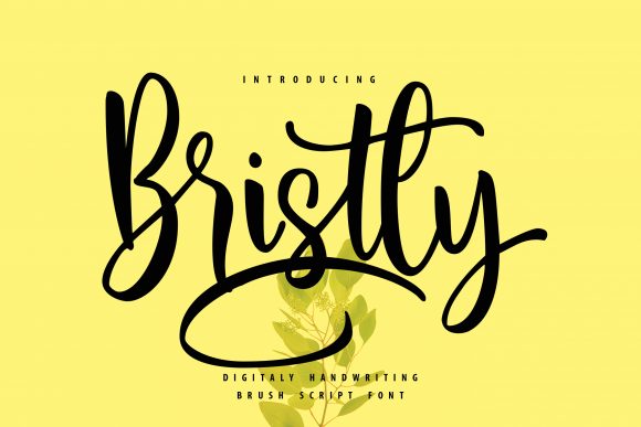 Bristly: A Handwritten Font That Elevates Digital Branding