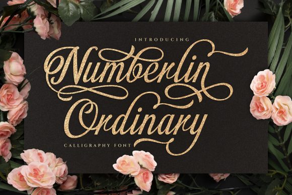 Numberlin Ordinary: A Delicate Script for Creative Brands
