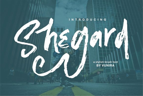 Shegard: A Stylish Font for Creative Marketing