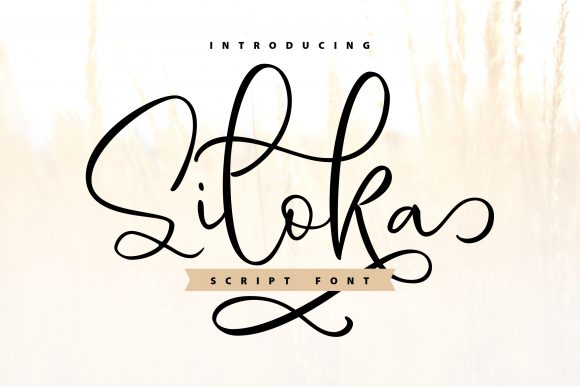 Siloka: A Stylish Font for Creative Campaigns